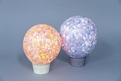 画像全国小中学校環境教育研究会賞