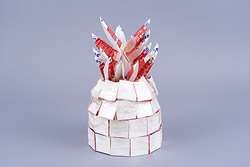 画像全国小中学校環境教育研究会賞