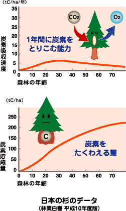 牛乳パックは地球となかよし牛乳パックン探検隊 牛乳パック リサイクル 環境